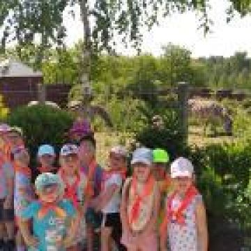 Wycieczka do Mini Zoo ,, Leśne Zacisze"