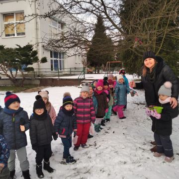 Dokarmiamy zimowe ptaki z naszego ogrodu